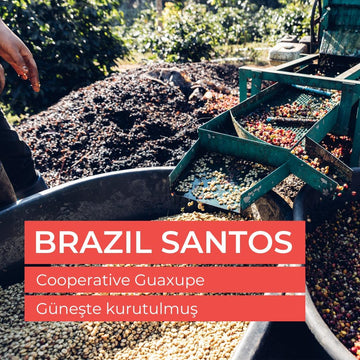 Сырые зеленые семена Brazil Santos Fine Cup 1 кг