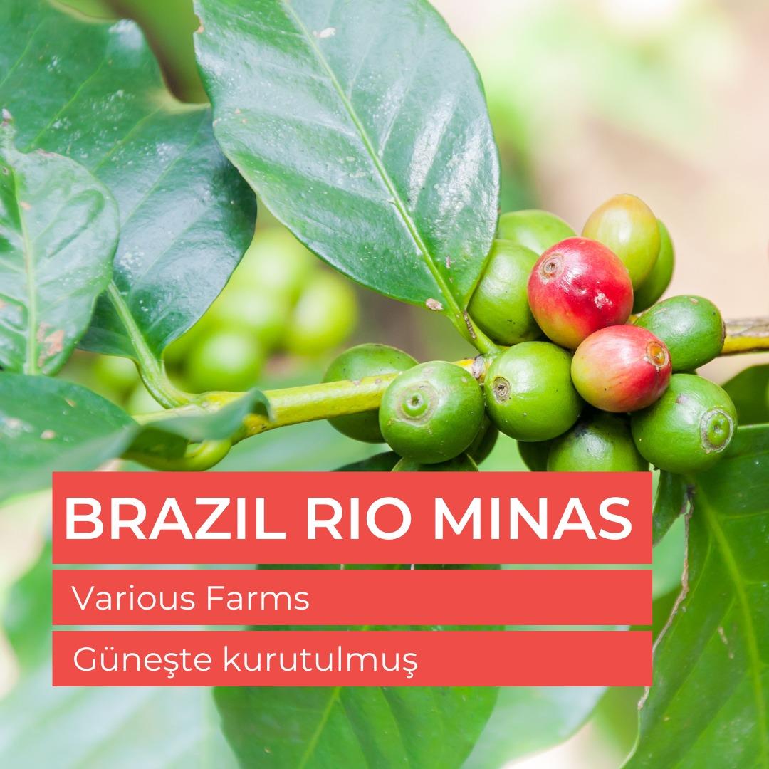 Brazil Unicafe Rio Minas Çiğ Yeşil Kahve Çekirdek 1kg