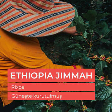 Ethiopia Djimmah Grade 4 Yeşil Kahve Çekirdek 1 kg