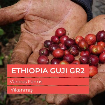 Ethiopia Guji - Çiğ Yeşil Kahve Çekirdek 1kg
