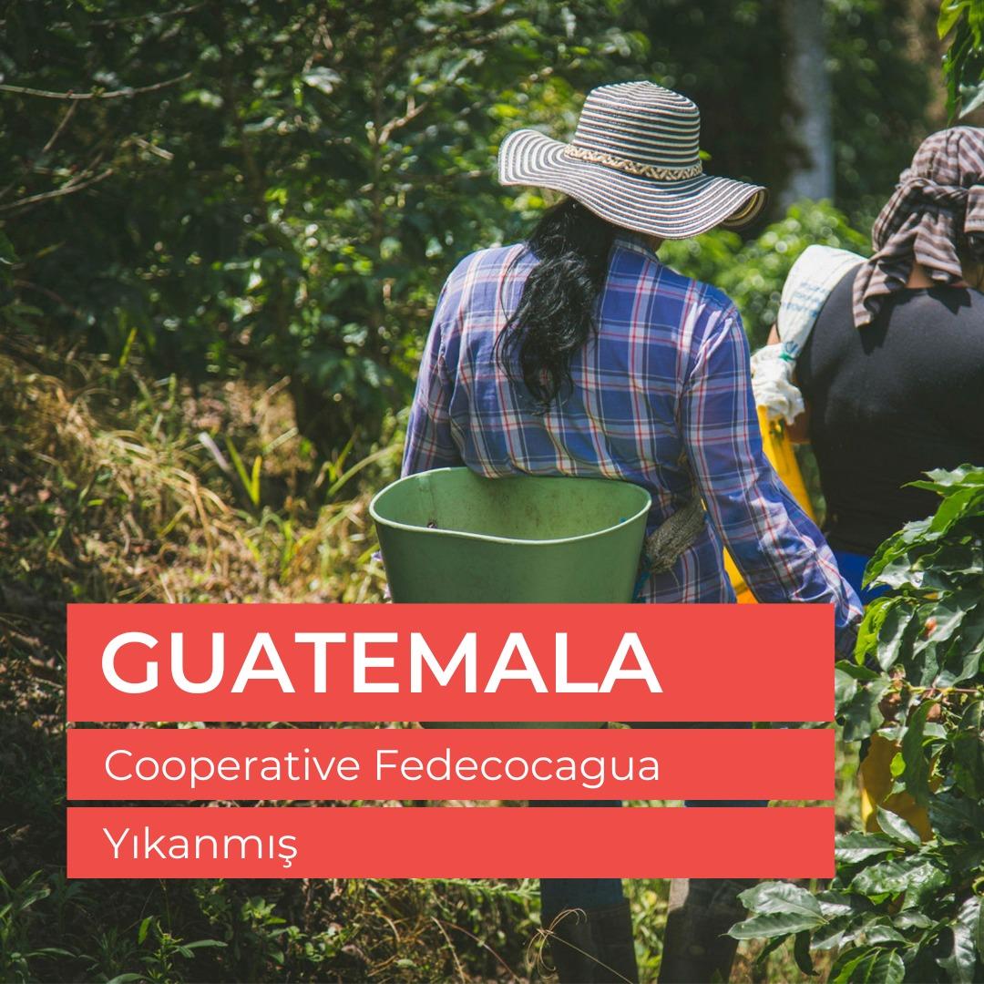 Guatemala La Delicia Hue Çiğ Yeşil Kahve Çekirdek 1kg