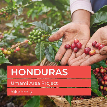 Honduras Beneficio De Cafe Çiğ Yeşil Kahve Çekirdek 1kg